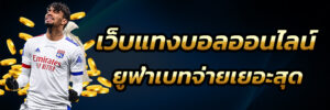 วิธีแทงบอลออนไลน์